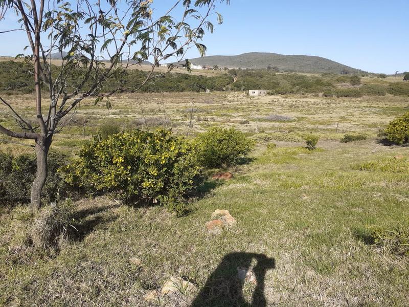0 Bedroom Property for Sale in Albertinia Western Cape